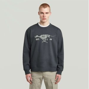 G-Star Raw - D27095 D733 - Sweater - Grijs - Hardlopende Hond Grafische