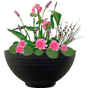 vdvelde.com - Mini Vijver Schaal met Planten Set - Roze - Complete set - 15 planten - Kunststof schaal Ø 40 x H 20 cm