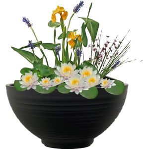 vdvelde.com - Mini Vijver Schaal met Planten Set - Wit - Complete set - 15 planten - Kunststof schaal Ø 40 x H 20 cm