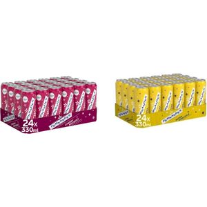 Fernandes Cherry Bouquet & Pineapple 48 x 330 ml