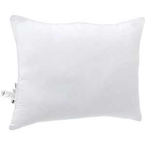 vidaXL Kussens 2 pcs - Wit - Katoen en Polyester