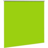 vidaXL - Rolgordijn - verduisterend - 145x175 - cm - stofbreedte - 141,6 - cm