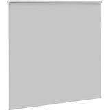 Vidaxl - Verdunkelungsrollo Hellgrau 160x175cm Stoffbreite 156,6cm