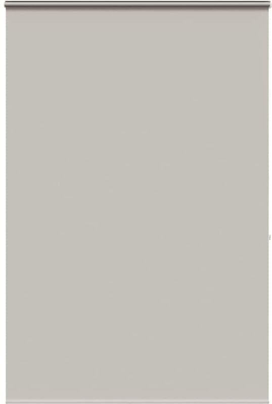 vidaXL - Doucherolgordijn - Waterbestendig - PEVA - Met Cassette