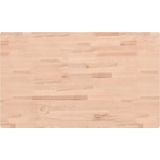 Werkbank - Massief Beukenhout - Gepoeerd Metaal Frame - Groot Werkgebied