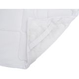 vidaXL - Matrasbeschermer - Wit - Microvezel - Ademend