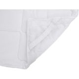 vidaXL - Matrasbeschermer - Wit - Microvezel - Ademend
