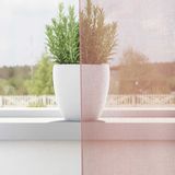 vidaXL Voile Vorhänge mit Ösen 2 Stk. Rosa 140x140 cm