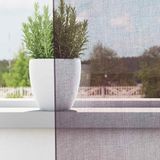 vidaXL Voile Vorhänge mit Ösen 2 Stk. Lila 140x300 cm