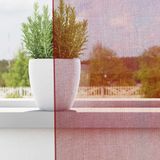 vidaXL - Gordijnen Voile - Wijnrood - 2 Stuks - Met Roedezakken