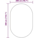 vidaXL - NAVARRA - Vloerkleed - Donkergrijs - Polyester - 300x200 cm