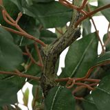 vidaXL - Kunstficus Boom - Groen - 170 cm - 756 Bladeren