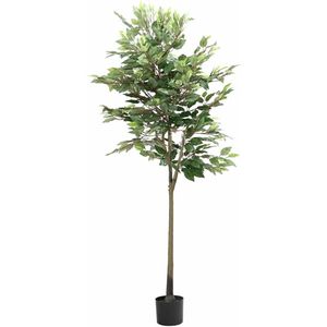 vidaXL - Kunstficus Boom - Groen - 170 cm - 756 Bladeren
