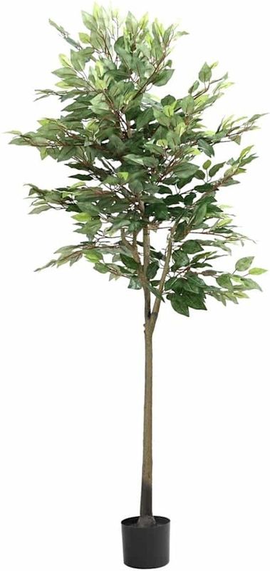 vidaXL - Kunstficus Boom - Groen - 170 cm - 756 Bladeren