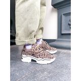 DWRS - JUPITER - Sneakers - Leopard Beige - Ademend Materiaal