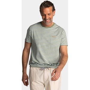 New Zealand - Auckland - T-shirt - Groen - Streep - Ronde Hals