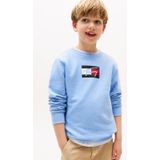 Tommy Hilfiger Sweatshirt - Script Vlag - Cloudy Blue - Tommy Hilfiger - 1 jaar (80) - Sweatshirt