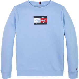 Tommy Hilfiger Sweatshirt - Script Vlag - Cloudy Blue - Tommy Hilfiger - 1 jaar (80) - Sweatshirt