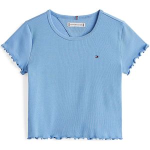 TOMMY HILFIGER Shirt 'ESSENTIAL'  hemelsblauw