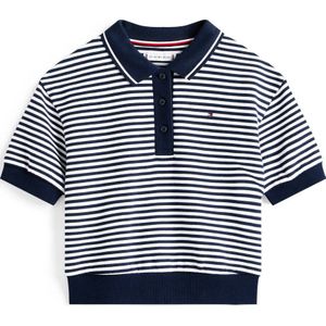 Tommy Hilfiger - OTTOMAN STRIPE POLO SS - Poloshirt - Dark Night Navy Stripes