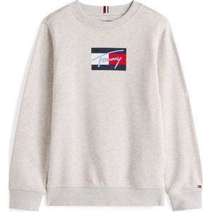Tommy Hilfiger - TOMMY SCRIPT FLAG SWEATSHIRT - Grijs - Sweatshirt - Voor Kinderen Tot 16 Jaar