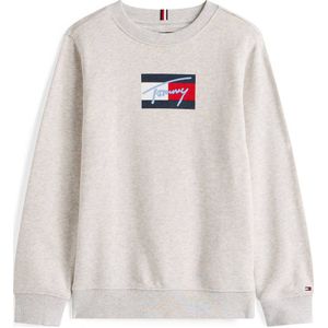Tommy Hilfiger - TOMMY SCRIPT FLAG SWEATSHIRT - Grijs - Sweatshirt - Voor Kinderen Tot 16 Jaar
