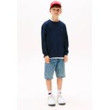 Tommy Hilfiger longsleeve donkerblauw
