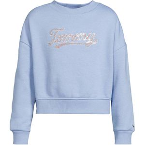 Tommy Hilfiger - TOMMY SCRIPT SEQUIN SWEATSHIRT - Cloudy Blue - Sweatshirt - Voor Kinderen Tot 16 Jaar