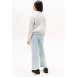 TOMMY HILFIGER Trui  grijs