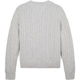 TOMMY HILFIGER Trui  grijs