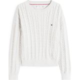 TOMMY HILFIGER Trui  grijs