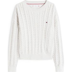 TOMMY HILFIGER Trui  grijs