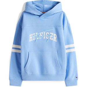 Tommy Hilfiger - Sweater - Katoen