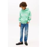 Tommy Hilfiger - Regular Fit Jeans - Denim - Vijf Broekzakken