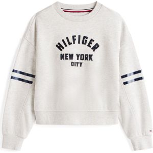 TOMMY HILFIGER Sweatshirt  donkerblauw / grijs / zwart