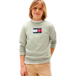 Tommy Hilfiger - TOMMY SCRIPT FLAG SWEATSHIRT - Misty Sage - Sweatshirt - Voor Kinderen Tot 16 Jaar