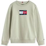 Tommy Hilfiger Sweat KB0KB09741 Licht grijs