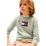 Tommy Hilfiger Sweat KB0KB09741 Licht grijs