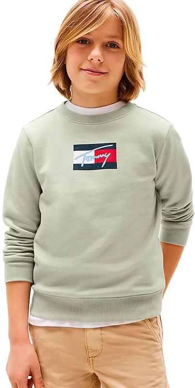 Tommy Hilfiger Sweat KB0KB09741 Licht grijs