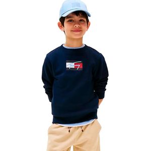 TOMMY HILFIGER Sweatshirt 'Script Flag Sweat Junior'  navy