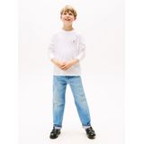 TOMMY HILFIGER Shirt 'ESSENTIAL'  navy / rood / wit