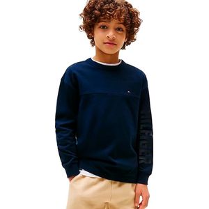 Tommy Hilfiger T-Shirt Hilfiger Mouw T-Shirt Met Grafiek Ls - Streetwear - Kind