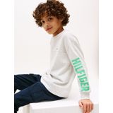 TOMMY HILFIGER Shirt  grijs gemêleerd / lichtgroen