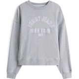 Tommy Jeans Sweatshirt  grijs gemêleerd / lavendel / wit