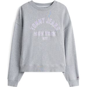 Tommy Jeans Sweatshirt  grijs gemêleerd / lavendel / wit