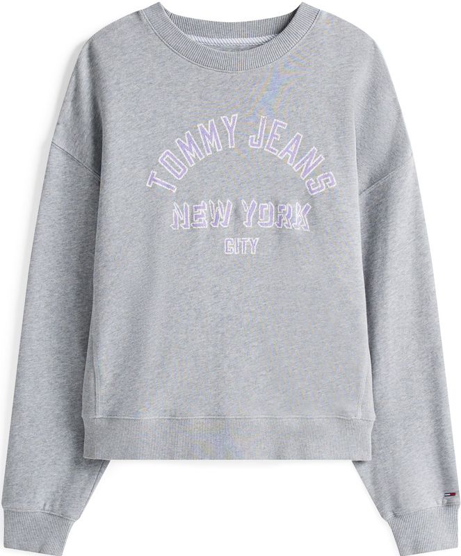 Tommy Jeans Sweatshirt  grijs gemêleerd / lavendel / wit