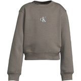 Calvin Klein - Sweater - Grijs - Met Logo
