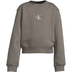 Calvin Klein - Sweater - Grijs - Met Logo