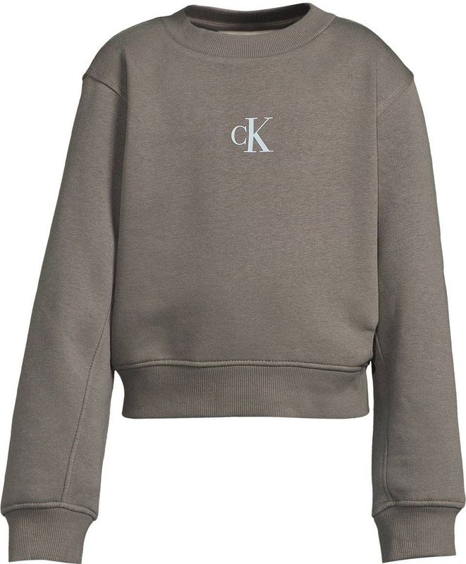 Calvin Klein - Sweater - Grijs - Met Logo