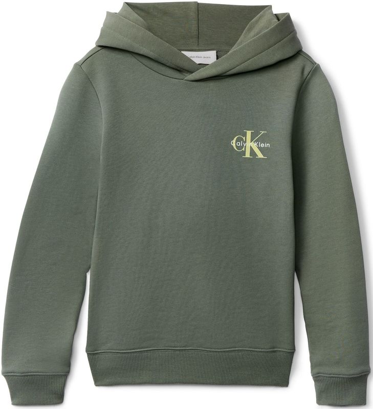 Calvin Klein Jeans Sweatshirt  lichtgroen / donkergroen / wit